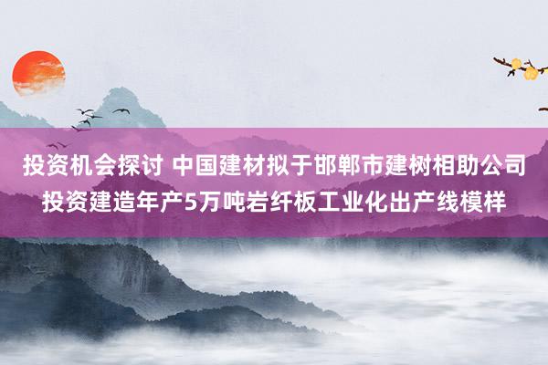 投资机会探讨 中国建材拟于邯郸市建树相助公司投资建造年产5万吨岩纤板工业化出产线模样