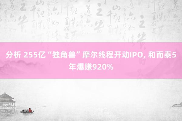 分析 255亿“独角兽”摩尔线程开动IPO, 和而泰5年爆赚920%