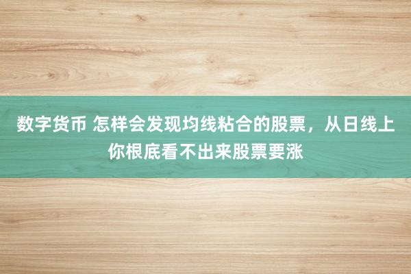 数字货币 怎样会发现均线粘合的股票，从日线上你根底看不出来股票要涨