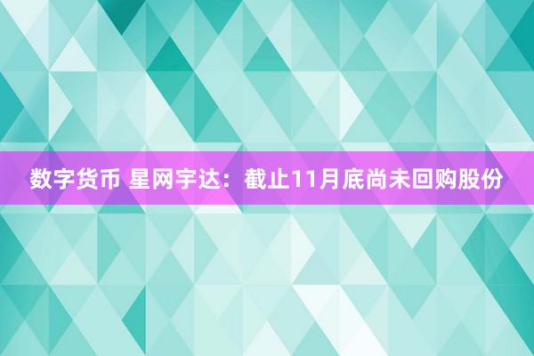 数字货币 星网宇达：截止11月底尚未回购股份