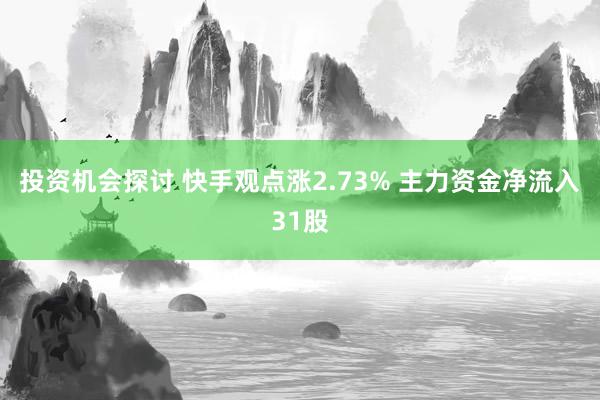 投资机会探讨 快手观点涨2.73% 主力资金净流入31股