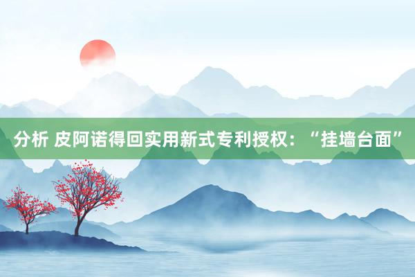 分析 皮阿诺得回实用新式专利授权：“挂墙台面”