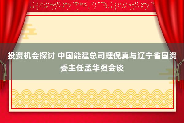 投资机会探讨 中国能建总司理倪真与辽宁省国资委主任孟华强会谈