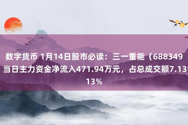 数字货币 1月14日股市必读：三一重能（688349）当日主力资金净流入471.94万元，占总成交额7.13%