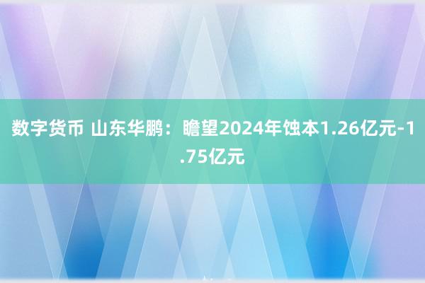 数字货币 山东华鹏：瞻望2024年蚀本1.26亿元-1.75亿元