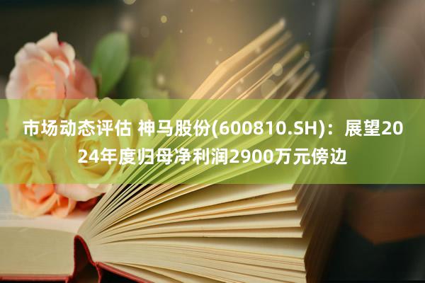 市场动态评估 神马股份(600810.SH)：展望2024年度归母净利润2900万元傍边