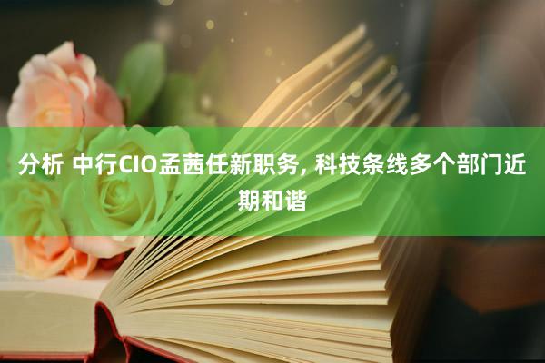 分析 中行CIO孟茜任新职务, 科技条线多个部门近期和谐