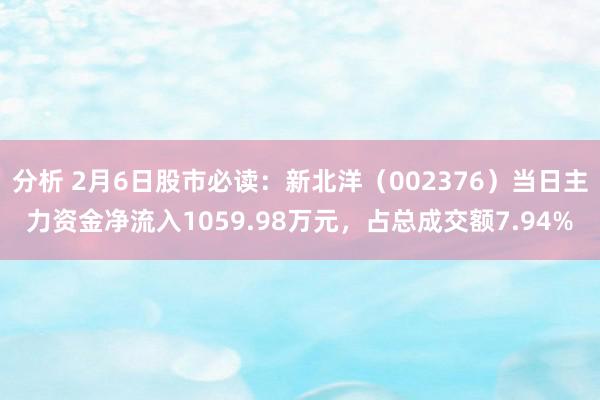 分析 2月6日股市必读：新北洋（002376）当日主力资金净流入1059.98万元，占总成交额7.94%