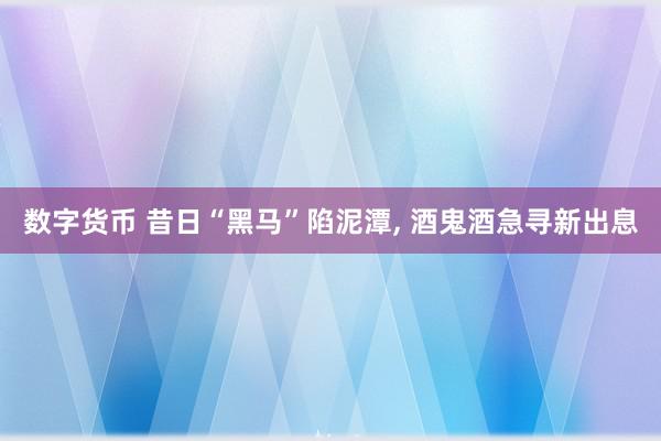 数字货币 昔日“黑马”陷泥潭, 酒鬼酒急寻新出息