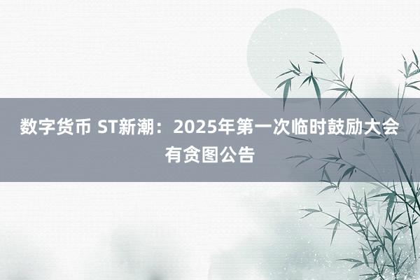 数字货币 ST新潮：2025年第一次临时鼓励大会有贪图公告