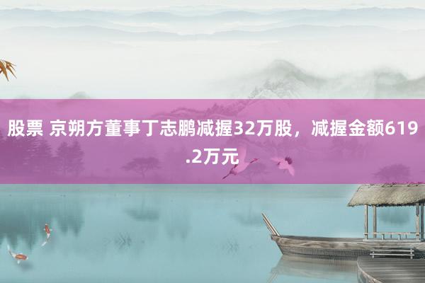 股票 京朔方董事丁志鹏减握32万股，减握金额619.2万元