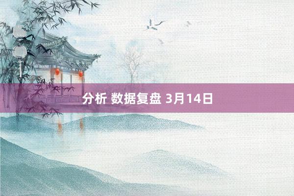 分析 数据复盘 3月14日